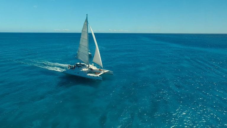 1. Catamarán a Vela – Tour a Isla Saona Relax