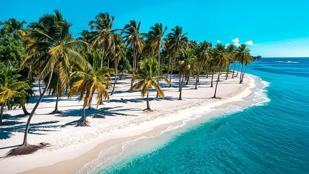 Canto de la playa - Isla Saona Tour por las Playas