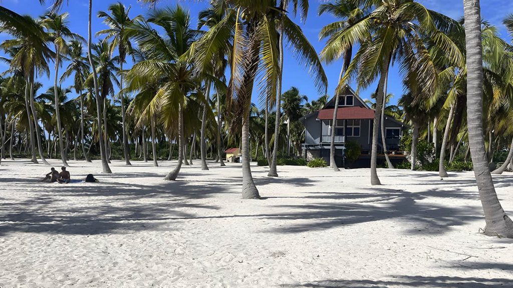 Canto de la Playa - Isla Saona Tour VIP por las Playas