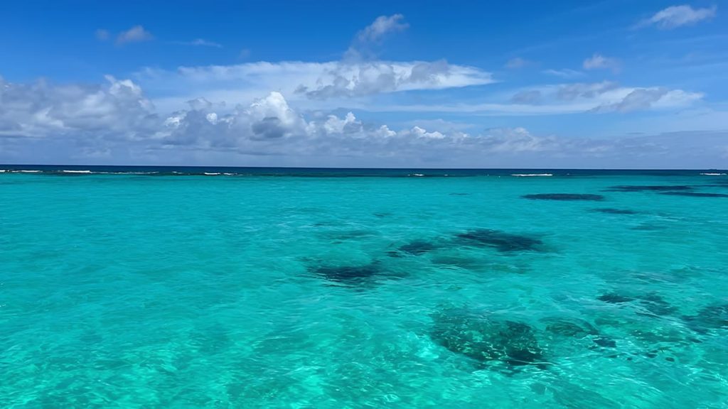Aguas Cristalinas y Arrecifes - Isla Saona Tour Explorer