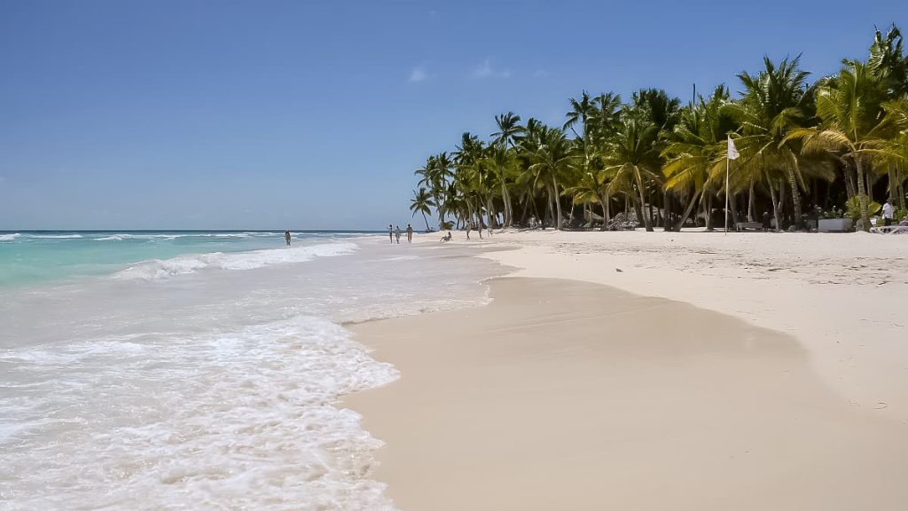 Playa de Arena Blanca y Palmeras - Isla Saona Tour Explorer