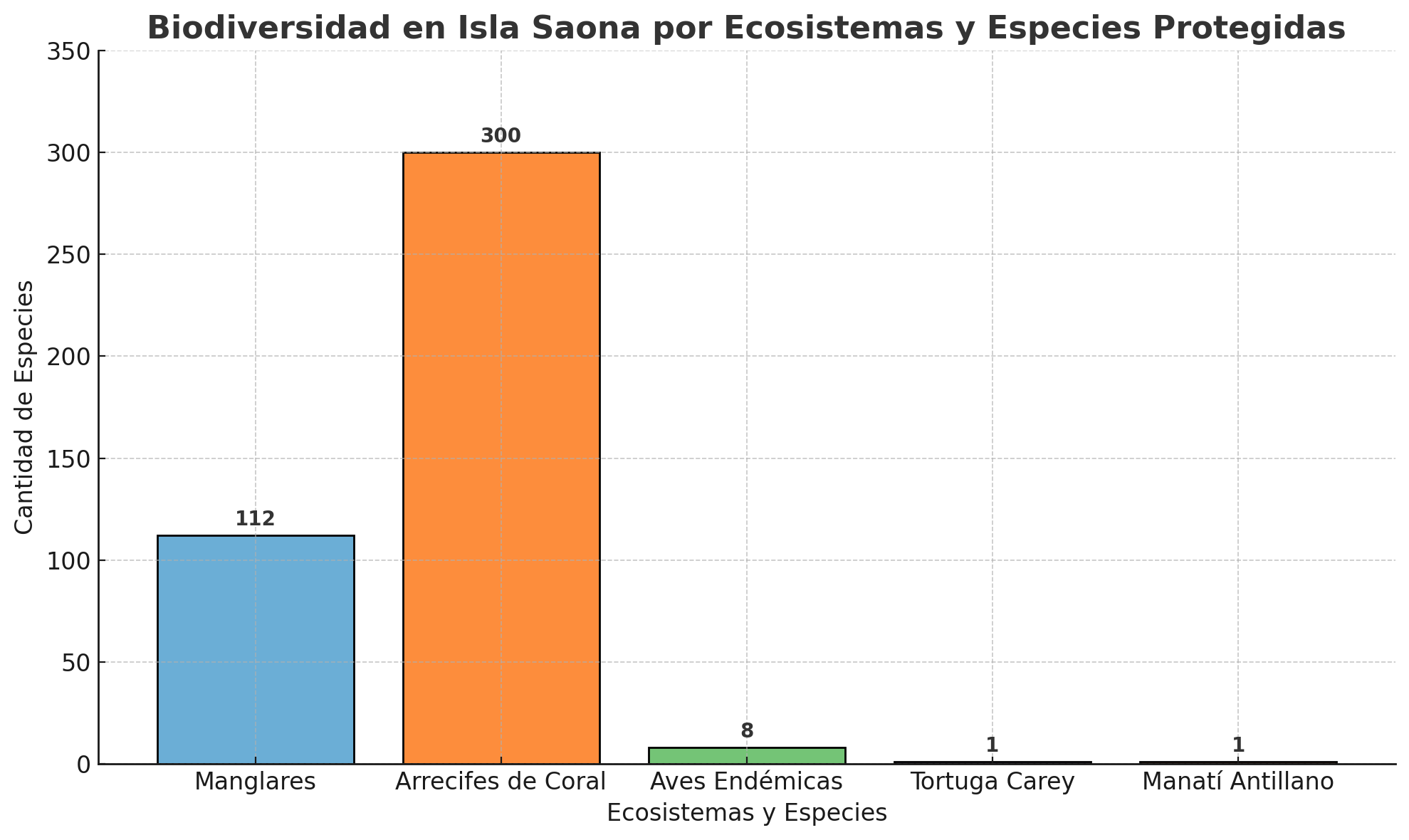 ¿Por Qué Visitar Isla Saona en RD? 4 Biodiversidad en Isla Saona por Ecosistemas y Especies Protegidas