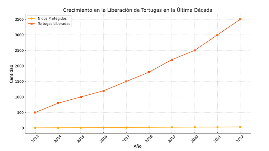 Santuario de Tortugas en Isla Saona 6 Crecimiento En La Liberación De Tortugas En La Última Década