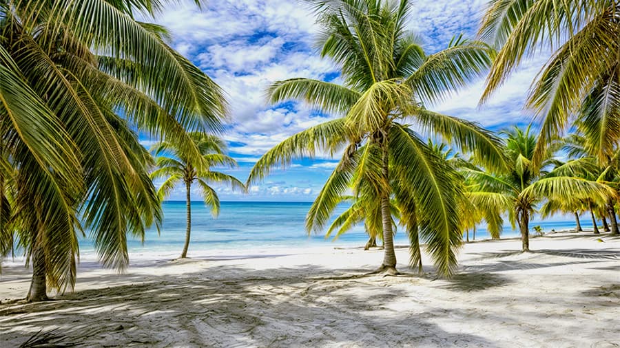 Las Mejores Playas de Isla Saona 3 Playa Mano Juan en Isla Saona