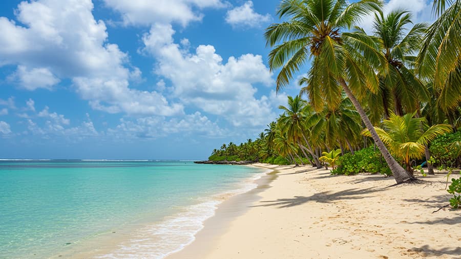 ¿Por Qué Visitar Isla Saona en RD? 7 Playa tropical en Isla Saona