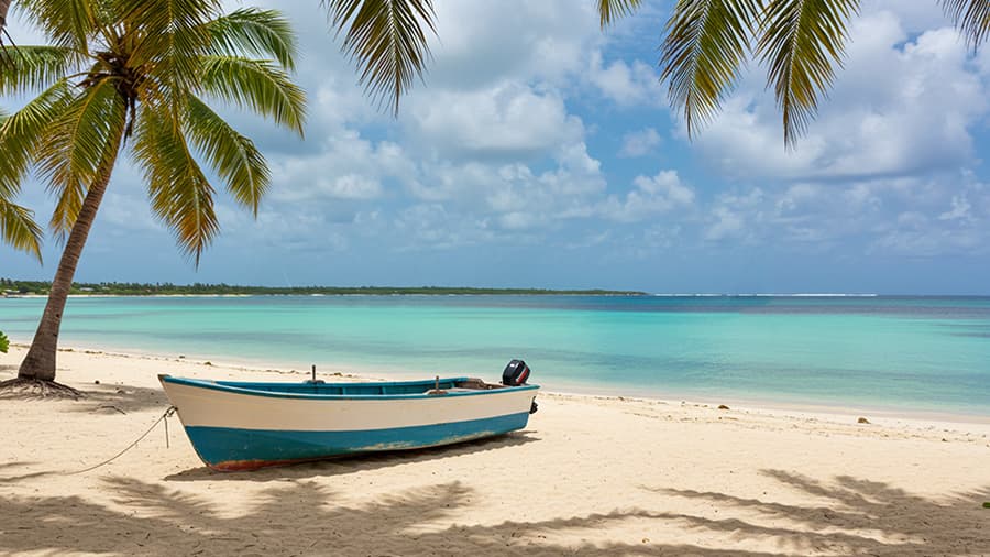 Por Qué Visitar Isla Saona